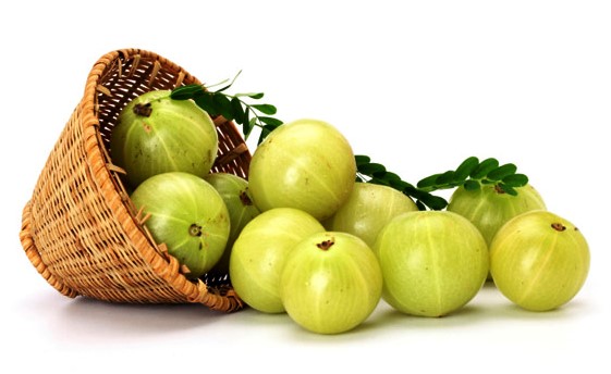 amla